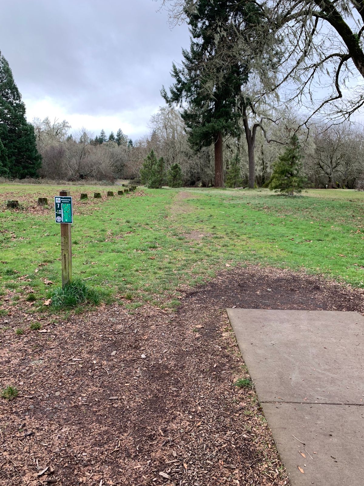Hole 7
