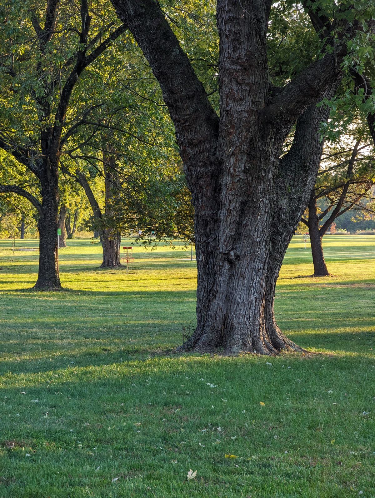Hole 10