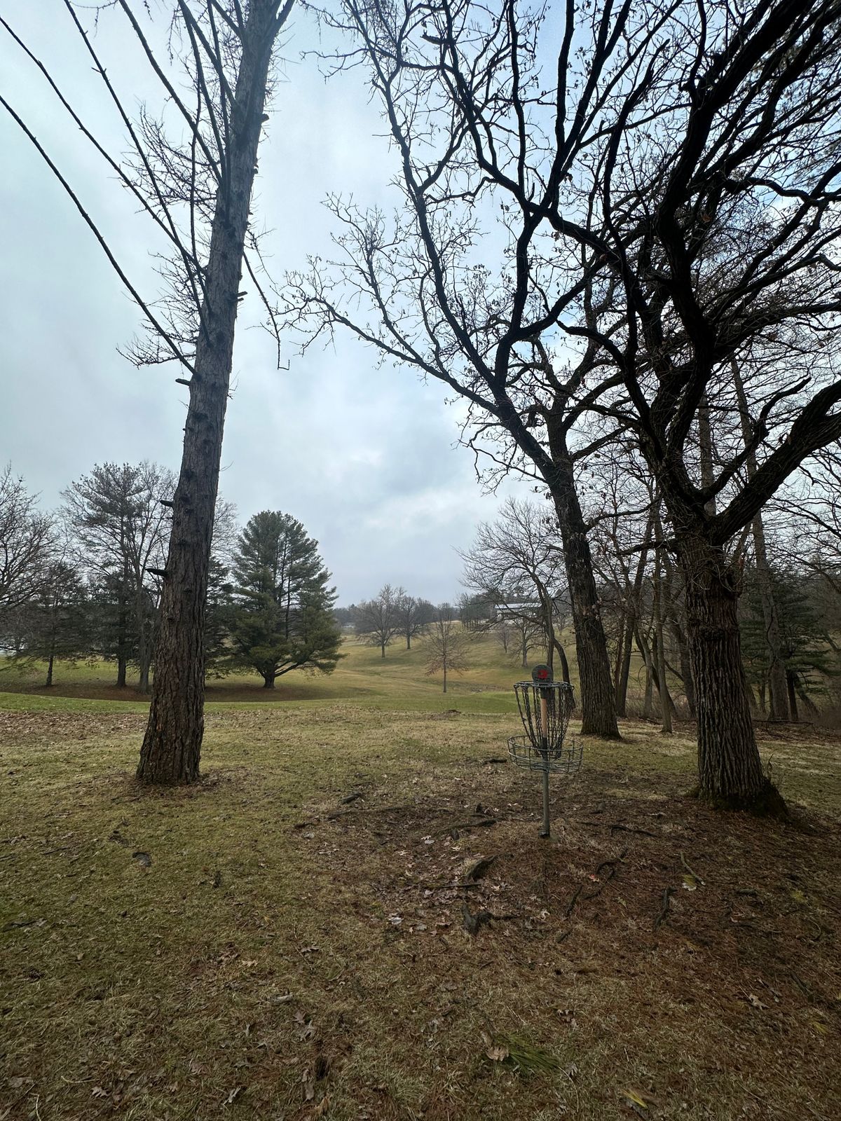 Hole #3 basket next to the golf course