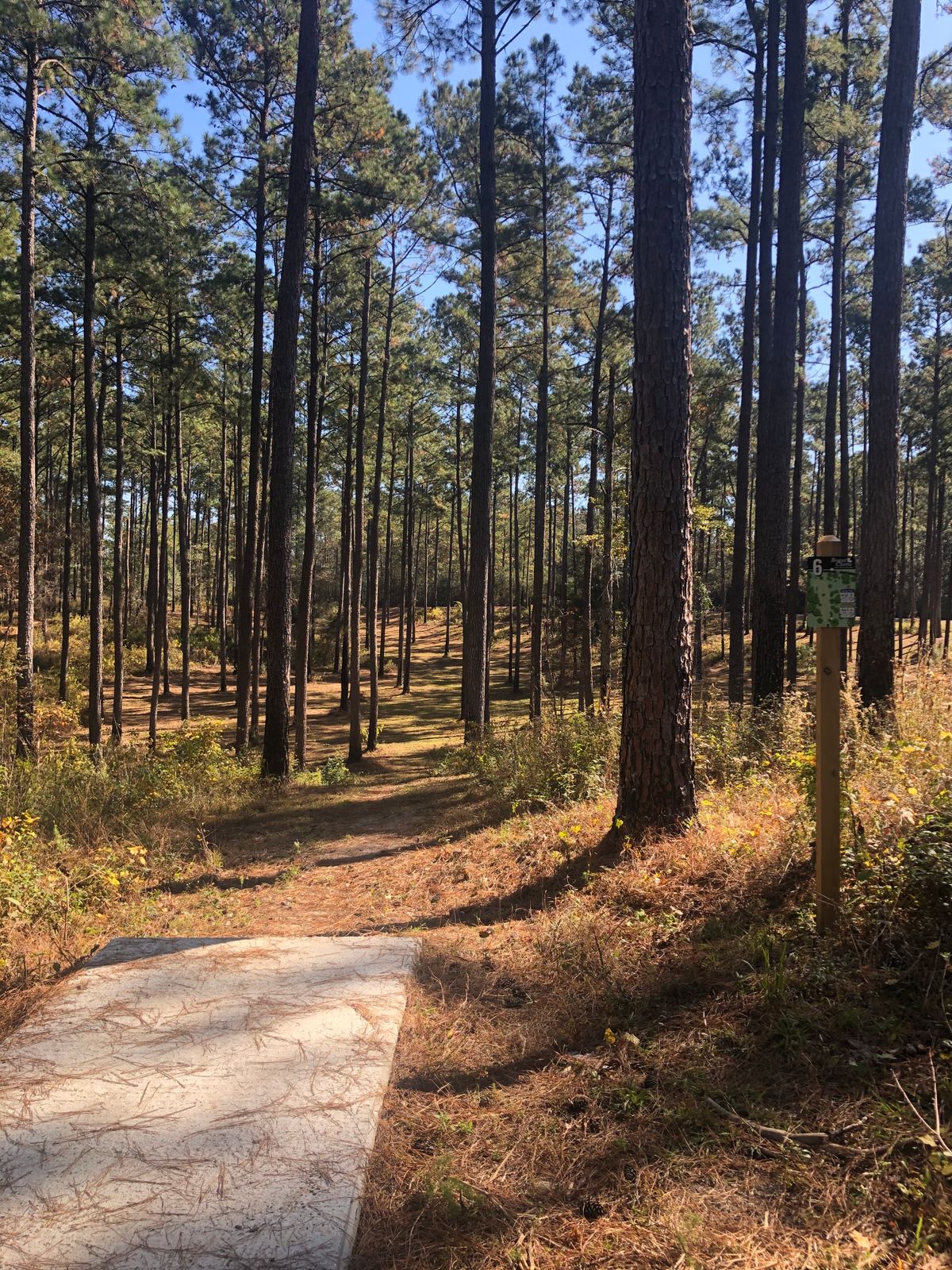 Hole 6 Black tee