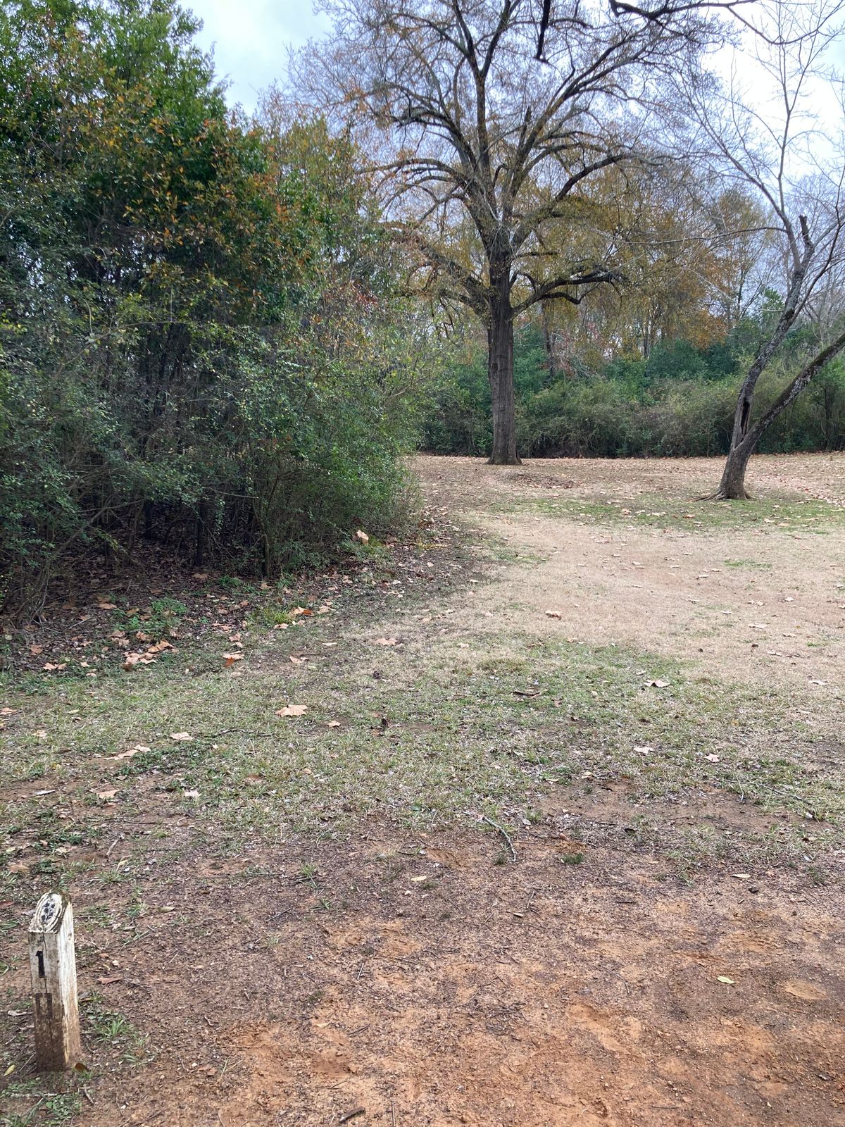 Hole 10 dog leg left