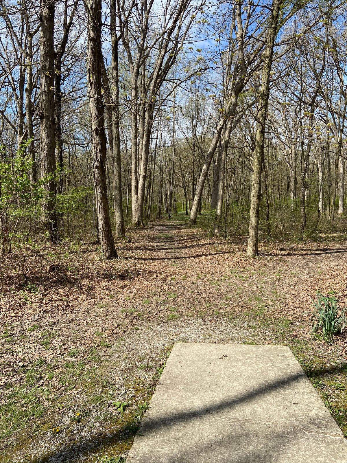 Hole 13. Very tight tree lined hole the entire way. Par 4 at 452 feet.