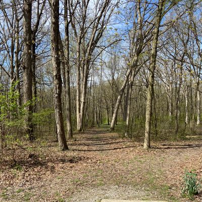 Hole 13. Very tight tree lined hole the entire way. Par 4 at 452 feet.