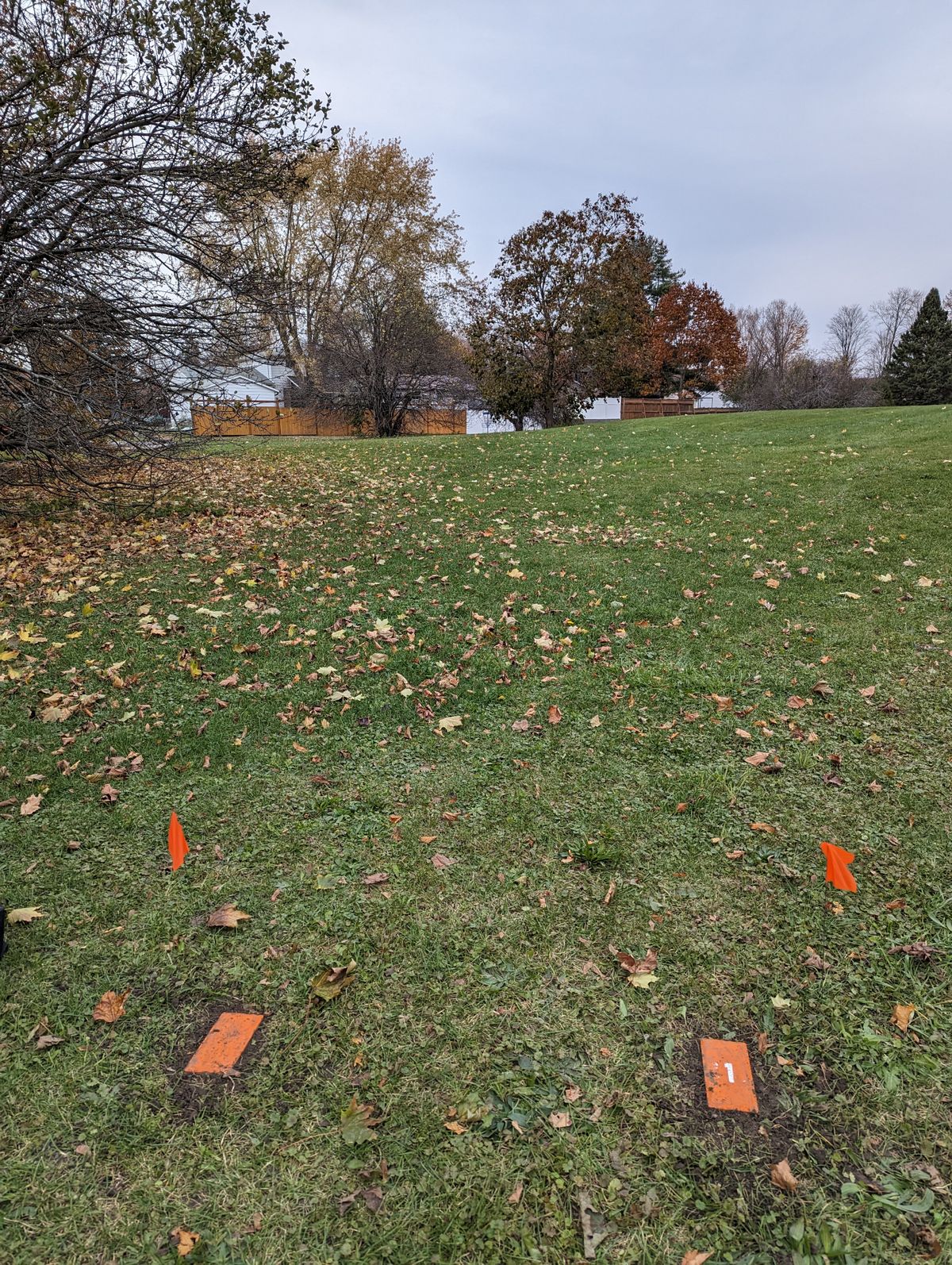 Tee7