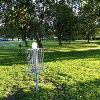 Trimmed grass and few but large trees