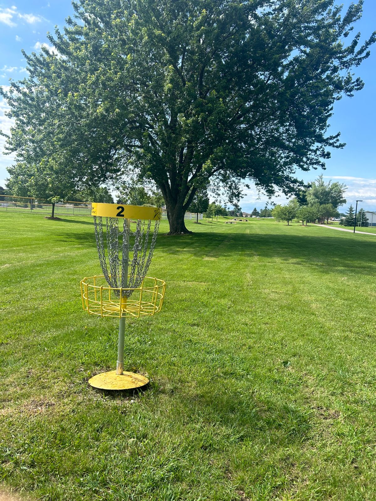 Hole 2 basket