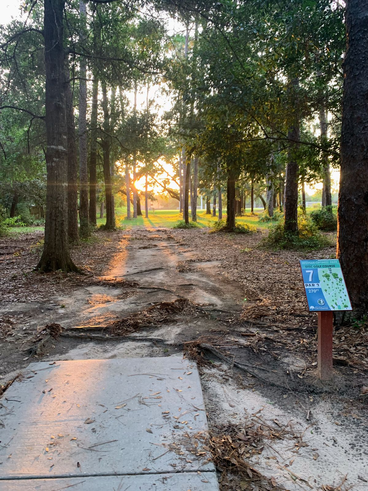 Hole 7, 270ft, par 3