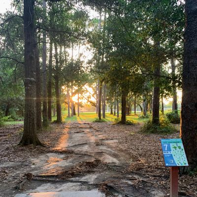 Hole 7, 270ft, par 3