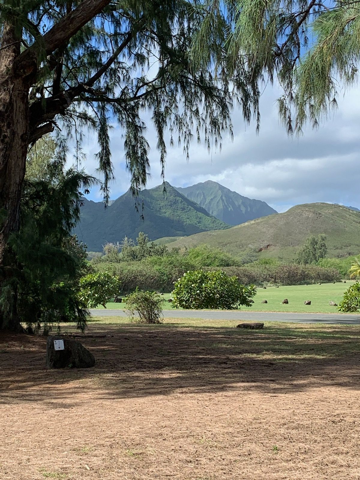 Hole 1 tee pad