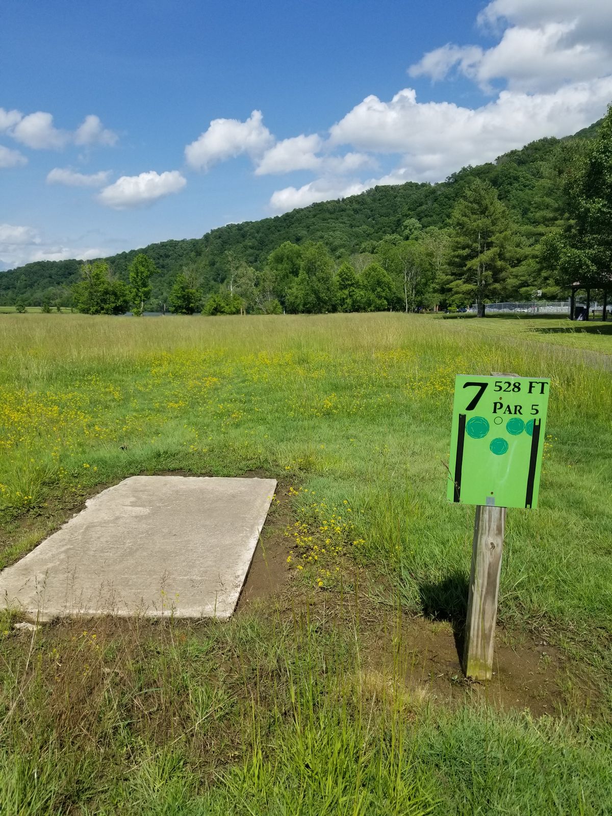 Hole 7