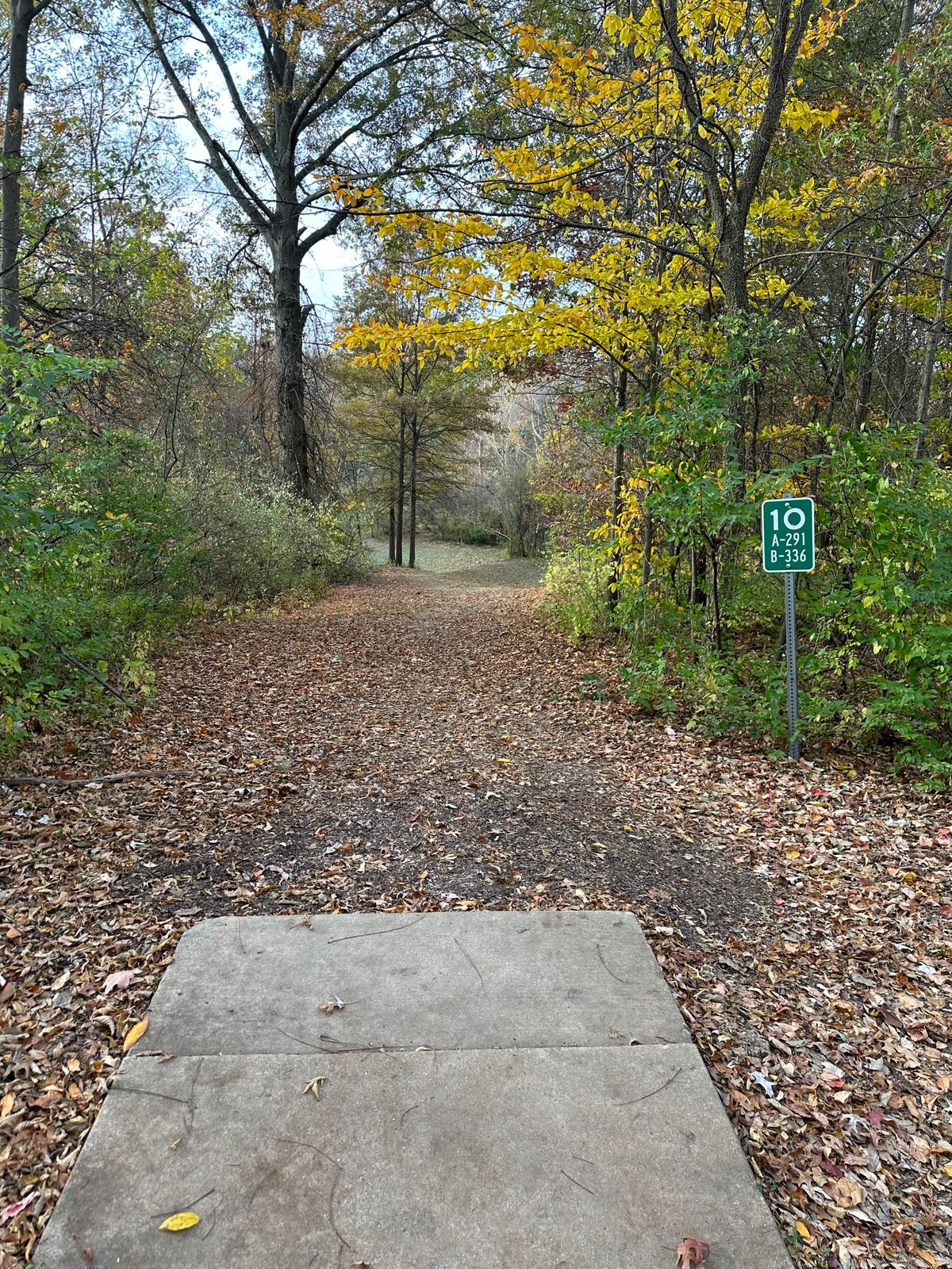 Hole 10 long tee pad (10/31/24)
