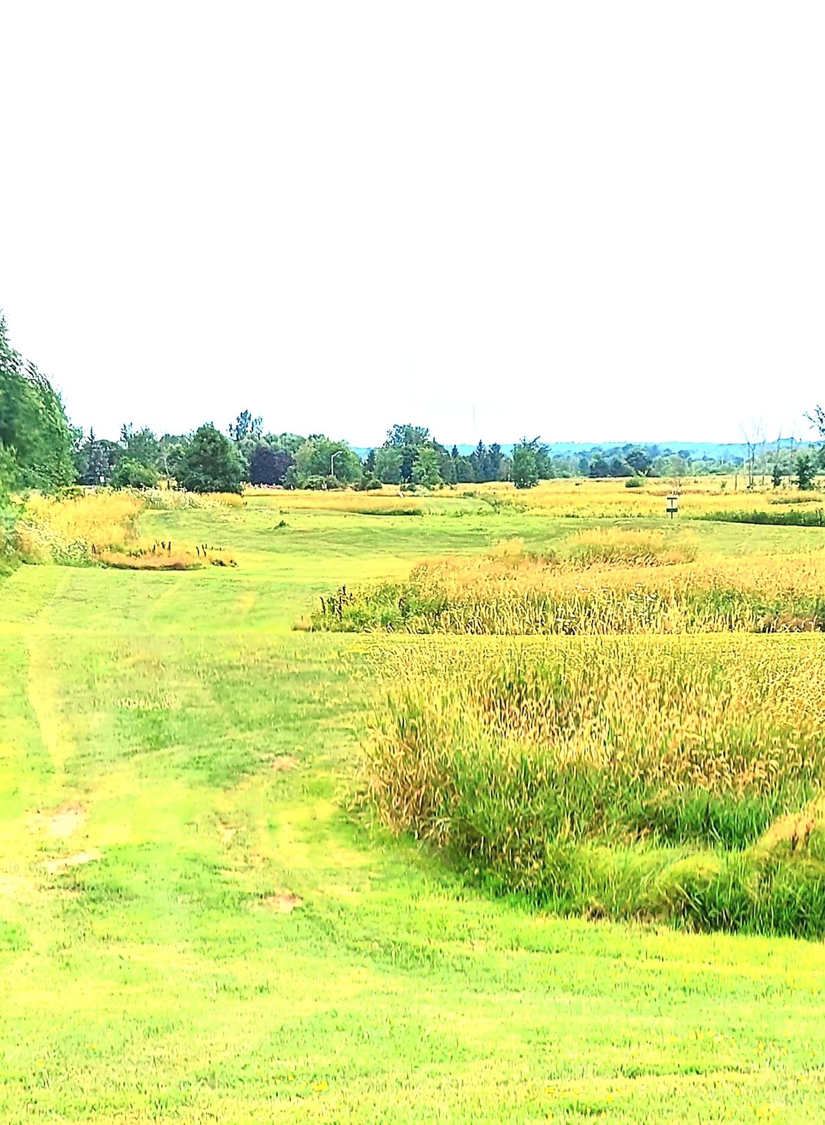 Long approach