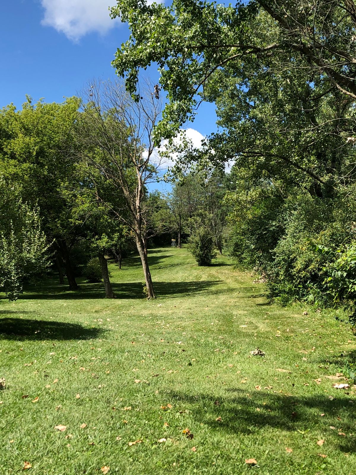Hole 10