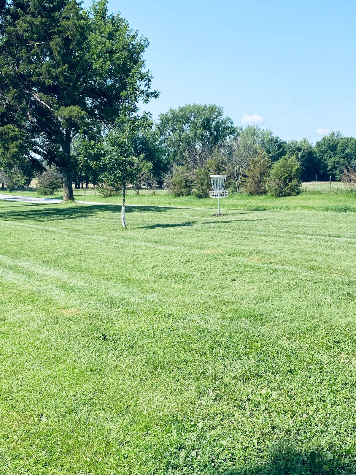 13 green