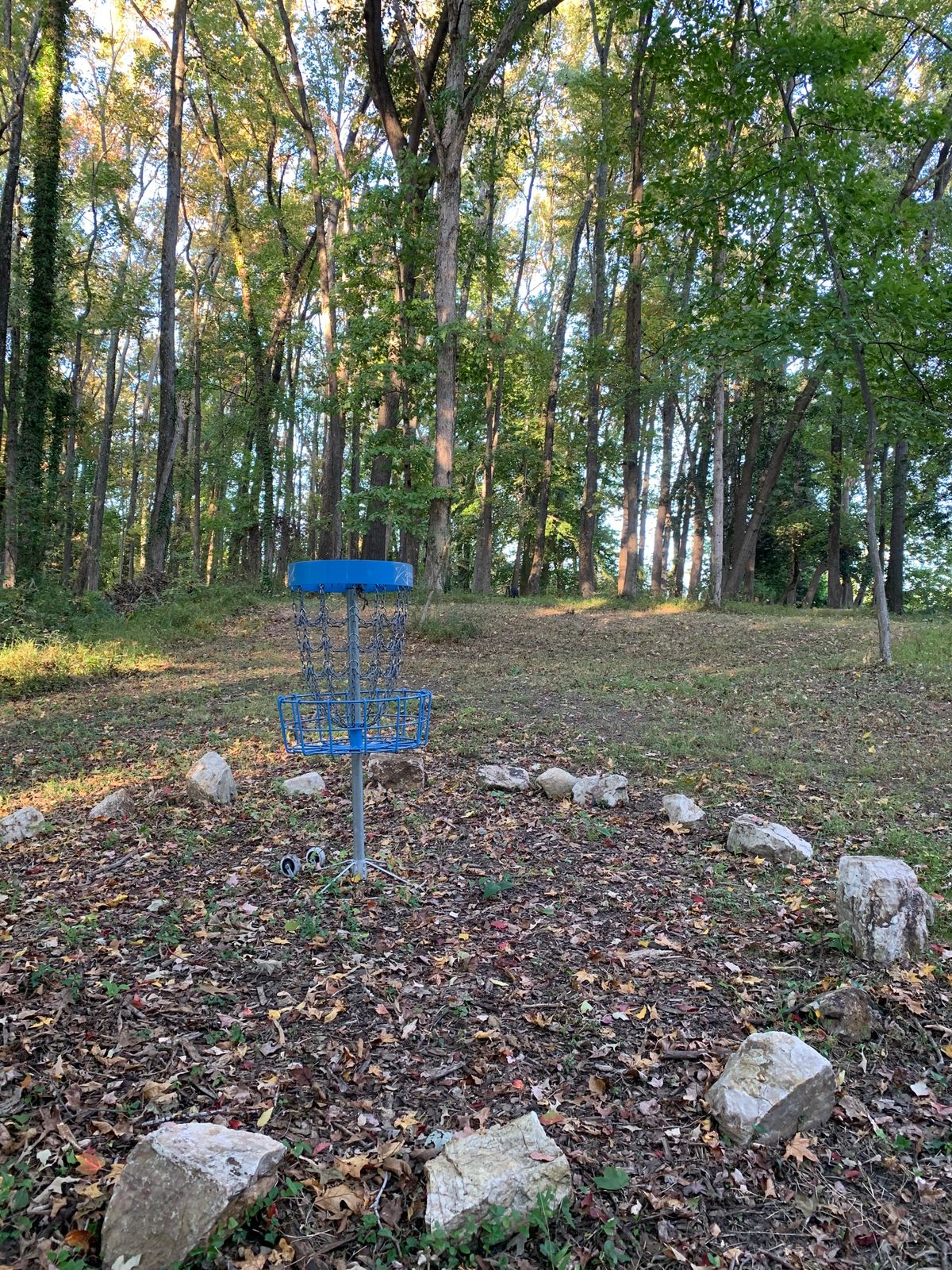 Basket 7, looking back.