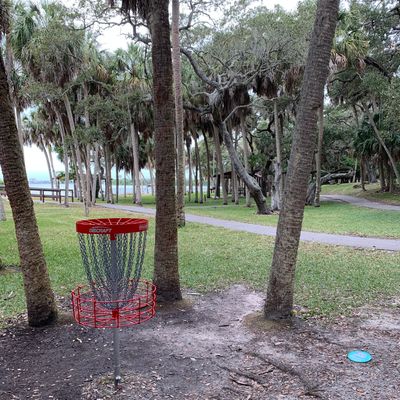 Drive on hole 18. Missed about every tree imaginable! Birdie
