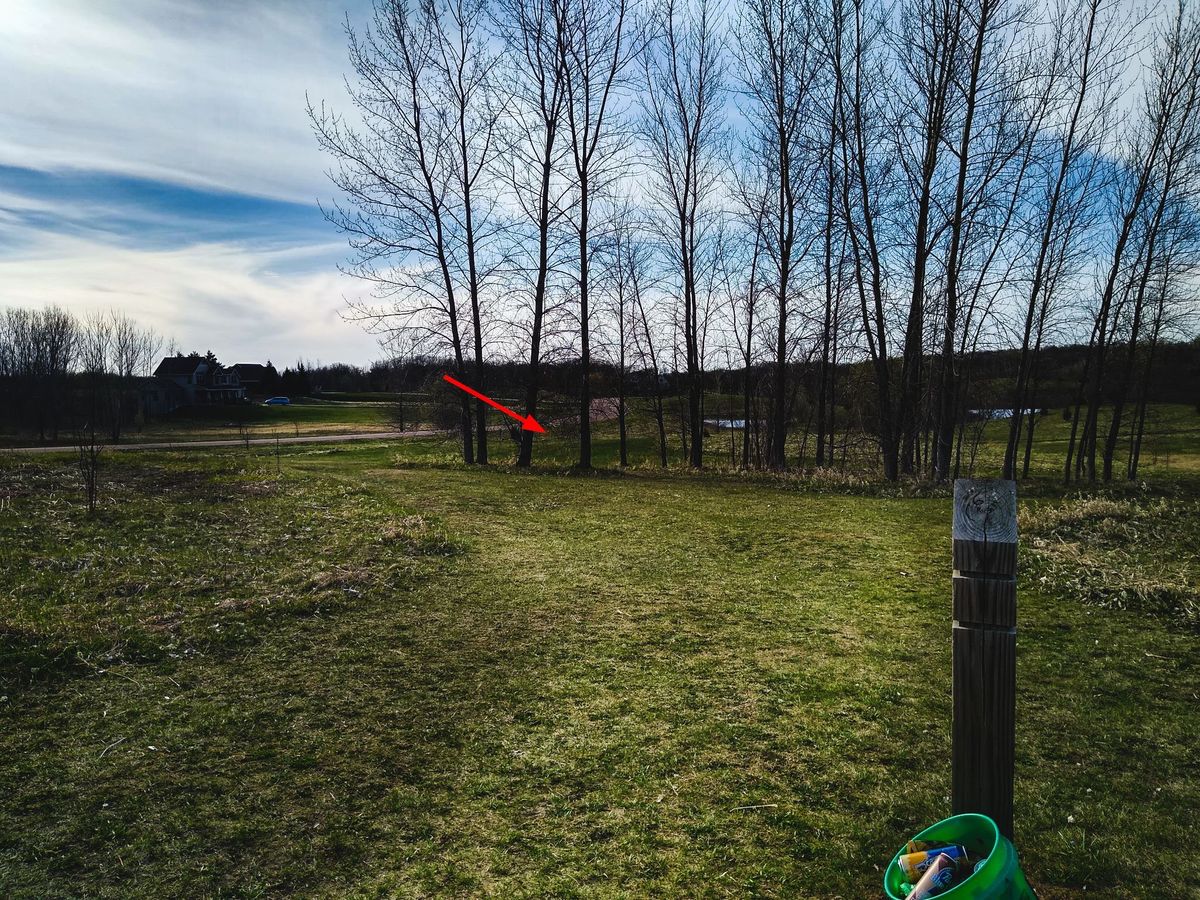 Hole #6 - hang it out left around the trees
