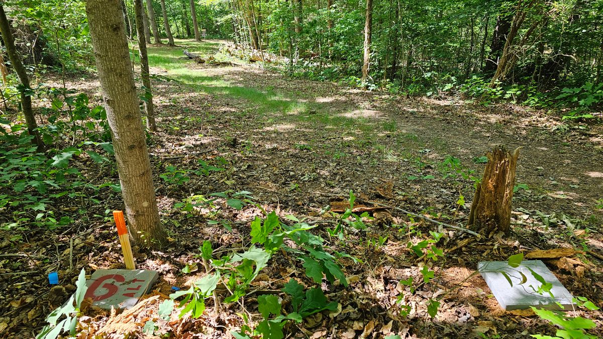 Hole 6 Alt - 208 ft