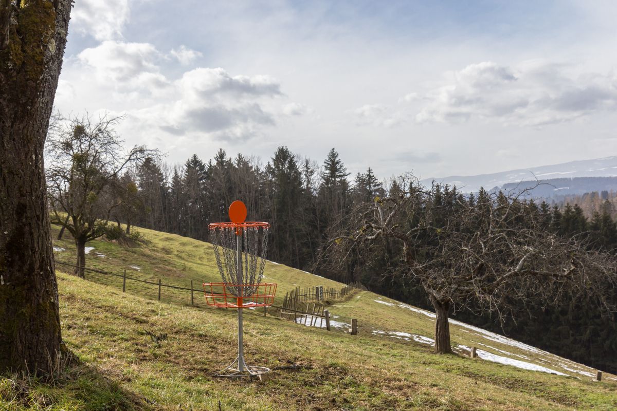 Green of hole 18 with tee pad of Hole 17 in the background. You can also see the slope which defines the main difficulty of several holes.
