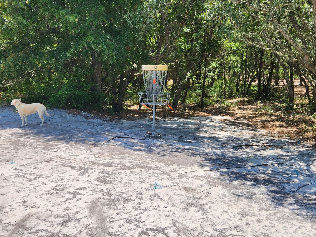 Hole 18 basket
