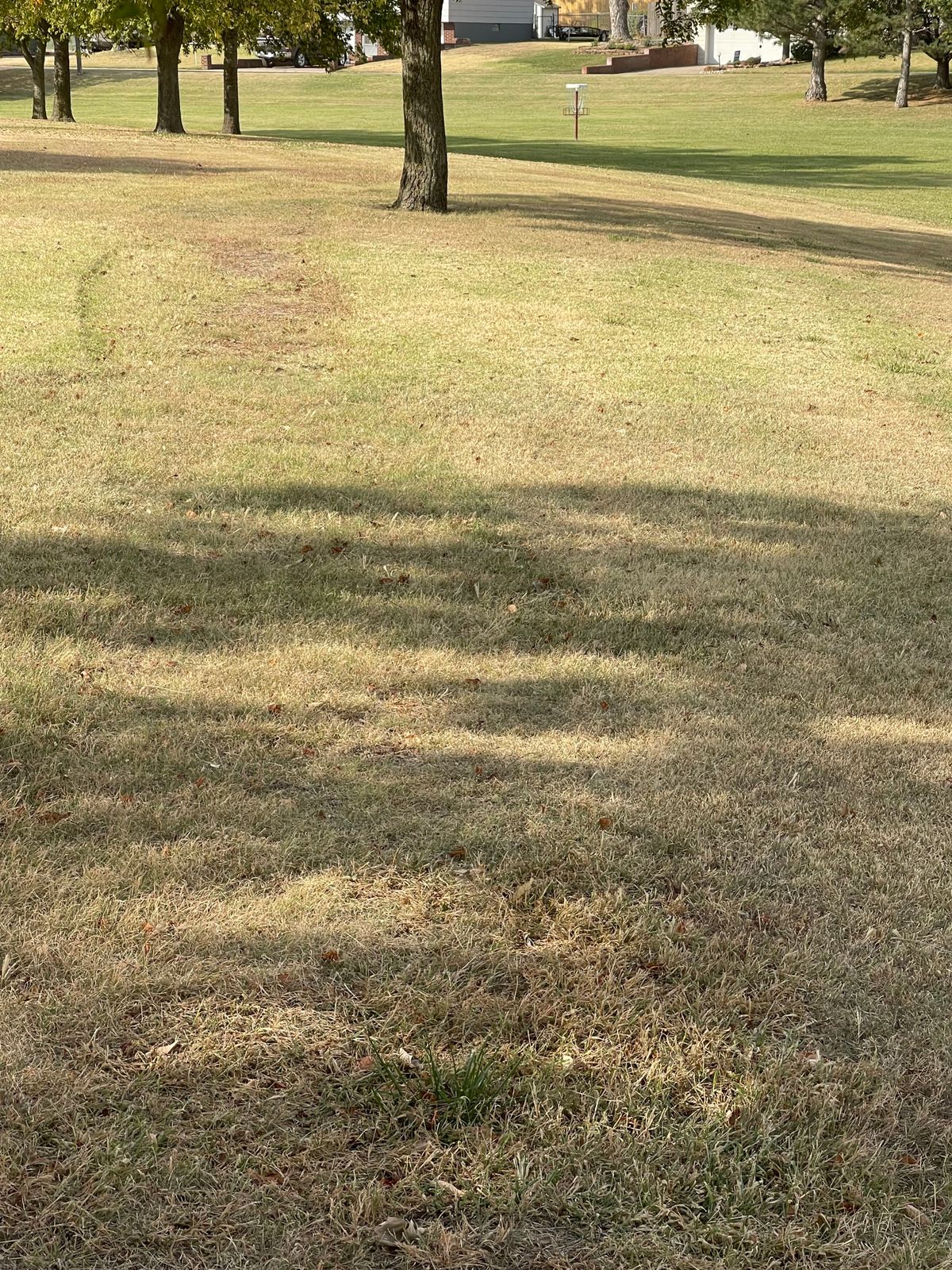 Hole 5