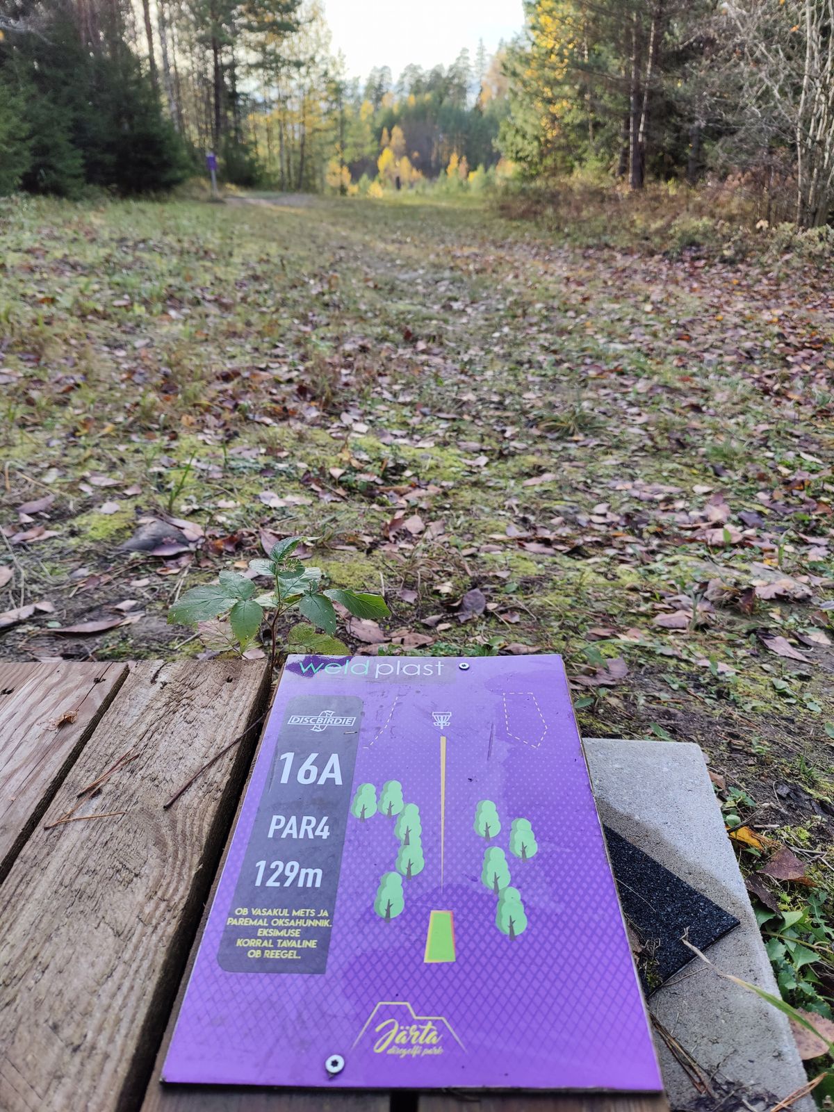 Rada 16A