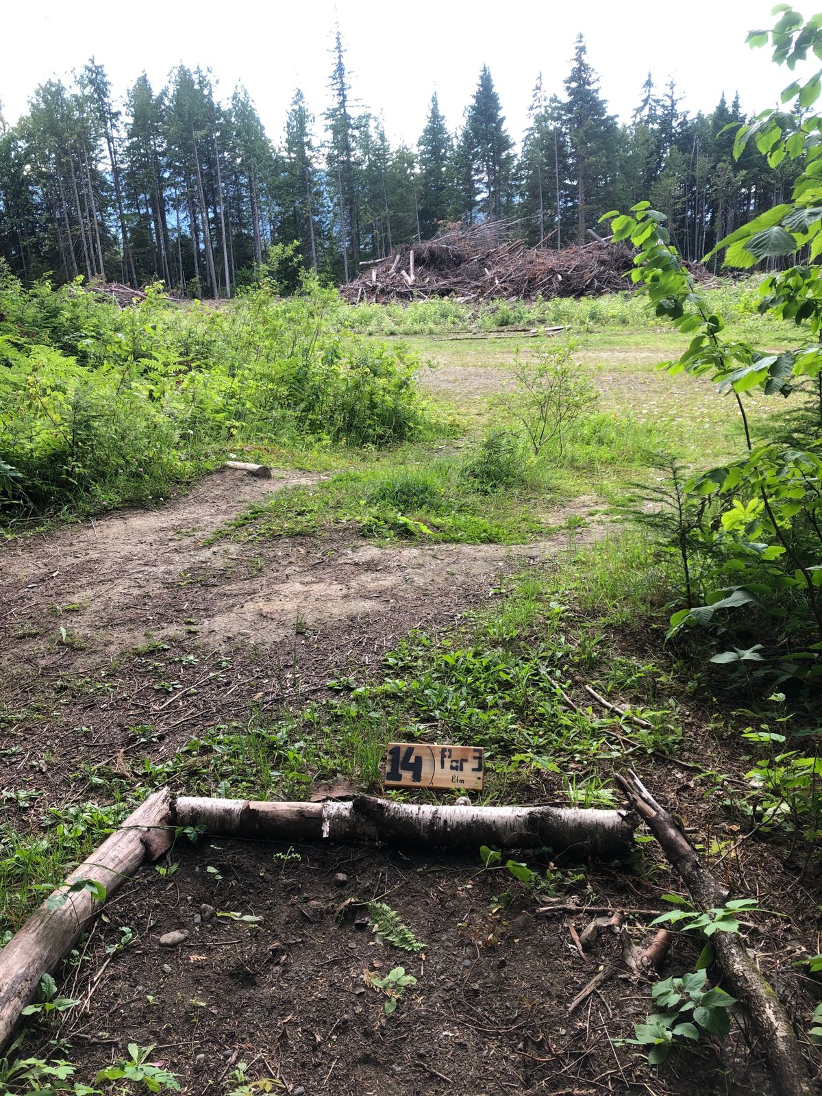 Hole 14 tee, follow road to the left. Stay out of the thick bush. Going to the pink sign