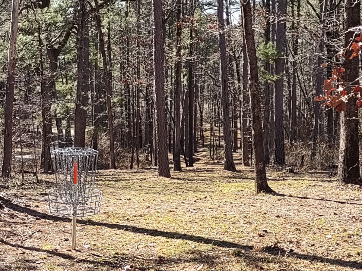 #4 Fairway (Reverse View)
