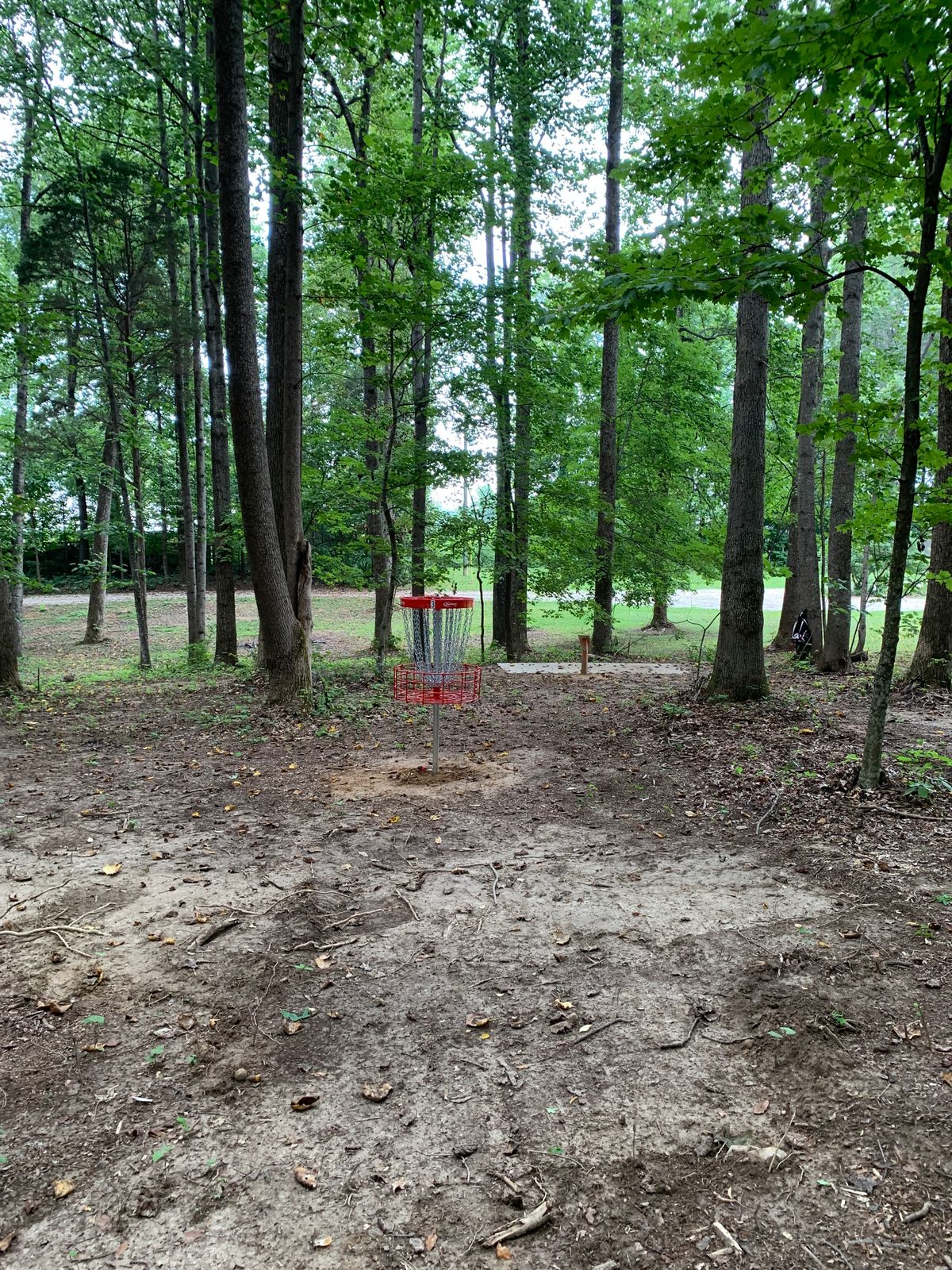 Hole 3 basket.