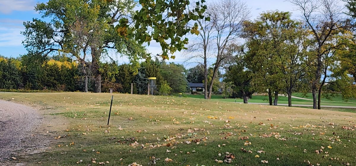 Course views
