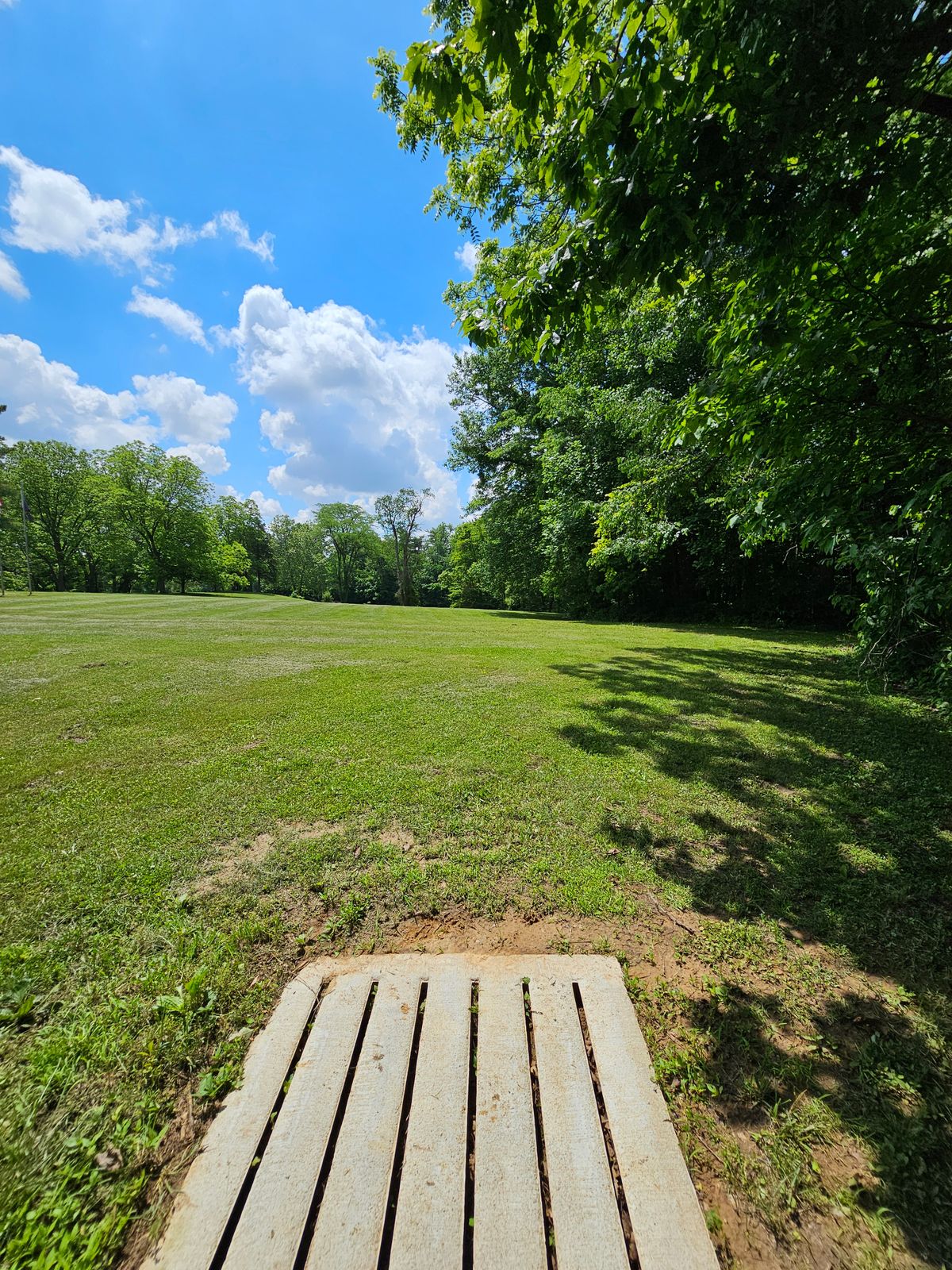Hole 7