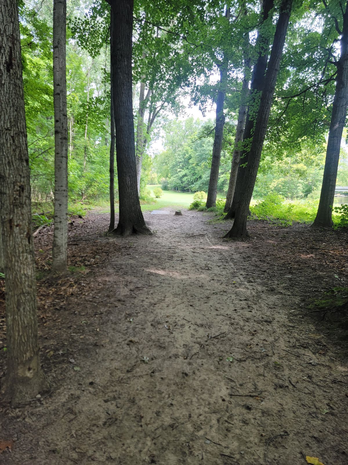 Hole 4 Teepad View