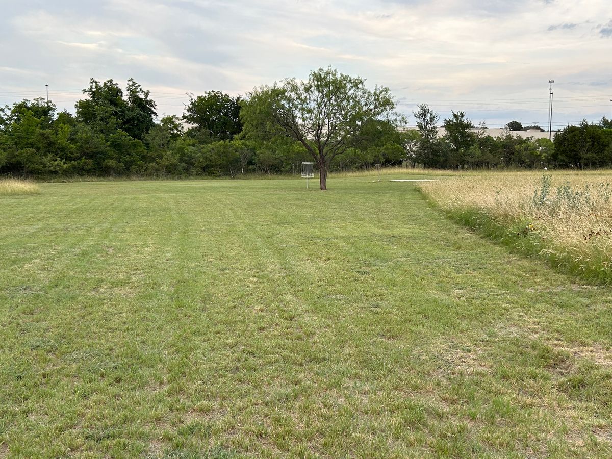 Hole 4 Basket