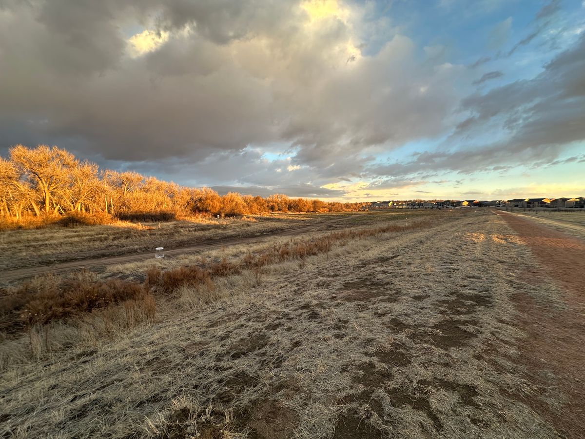 Looking over the field from the trail.