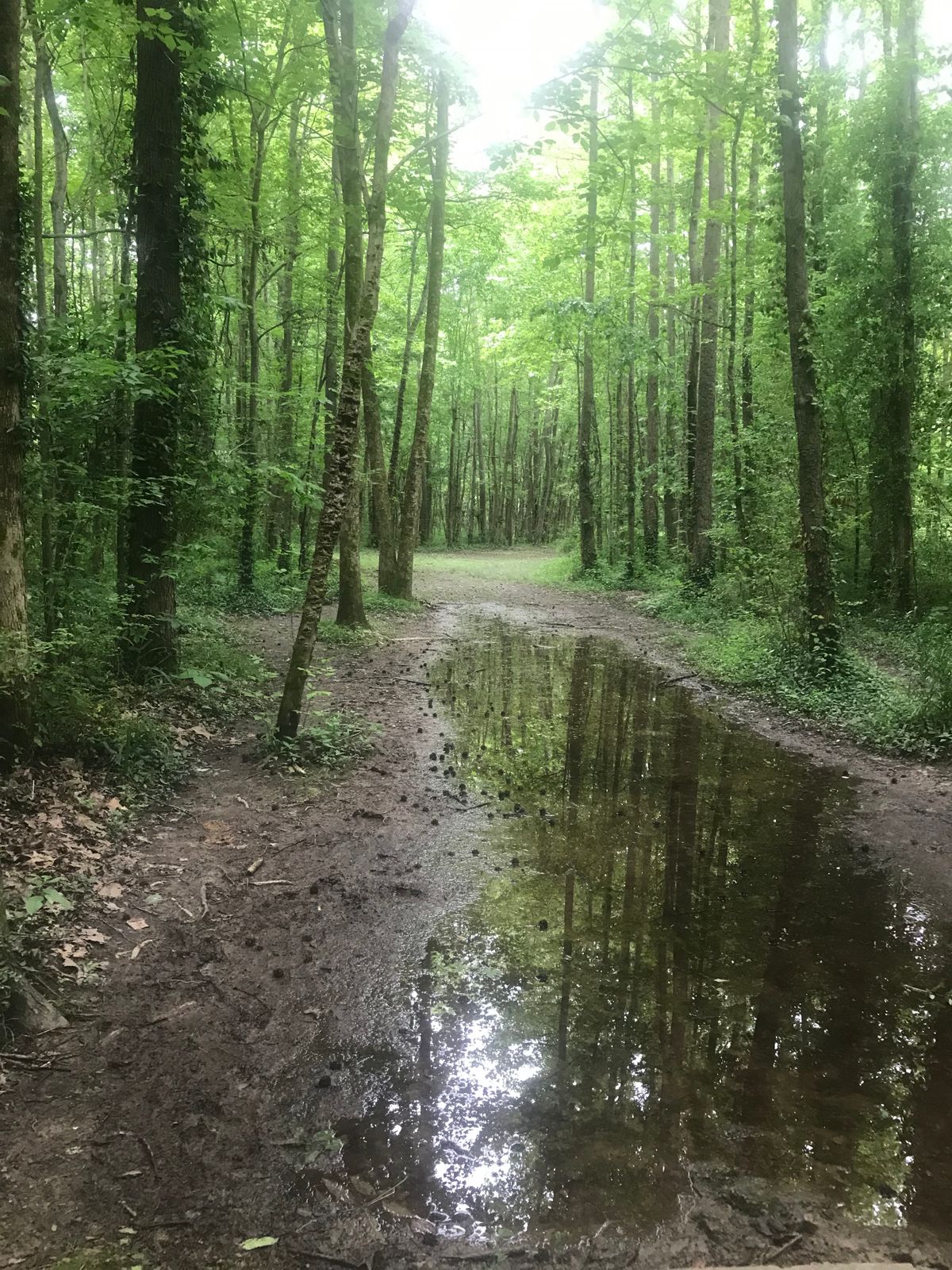 Hole 8