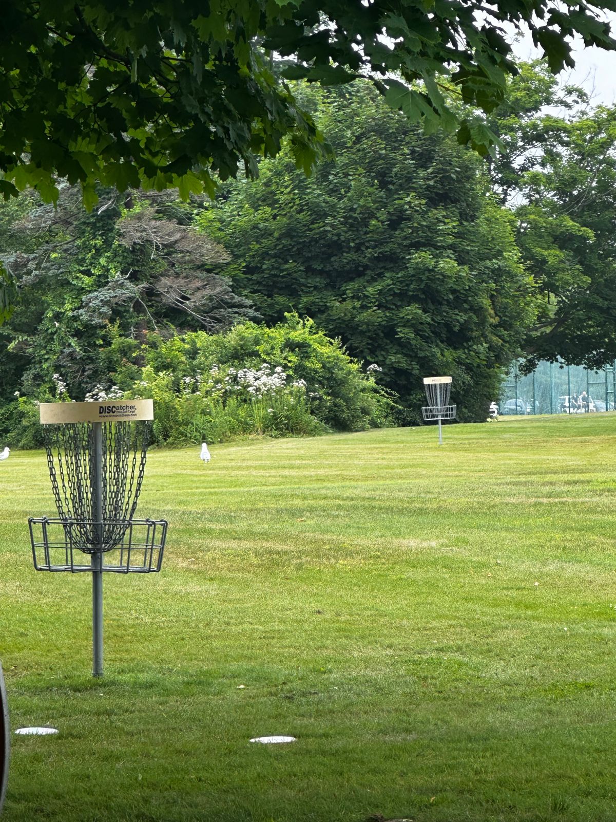 Fun course!