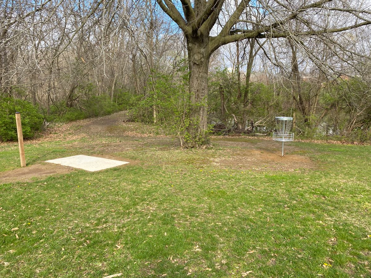 Hole 7 basket and Hole 8 Tee Pad