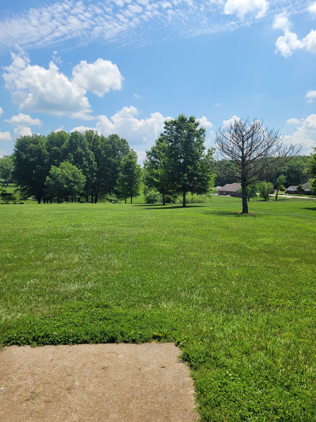 Hole 3 Tee to Basket