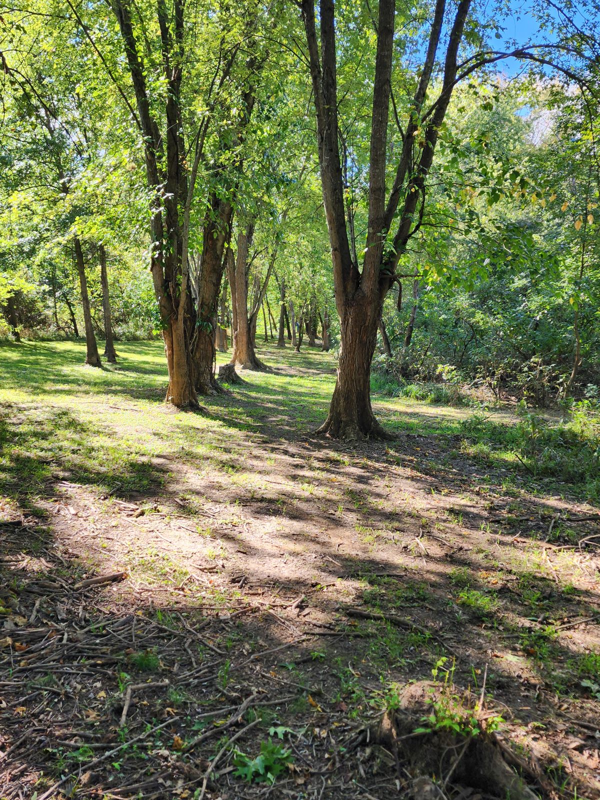 No. 10 fairway