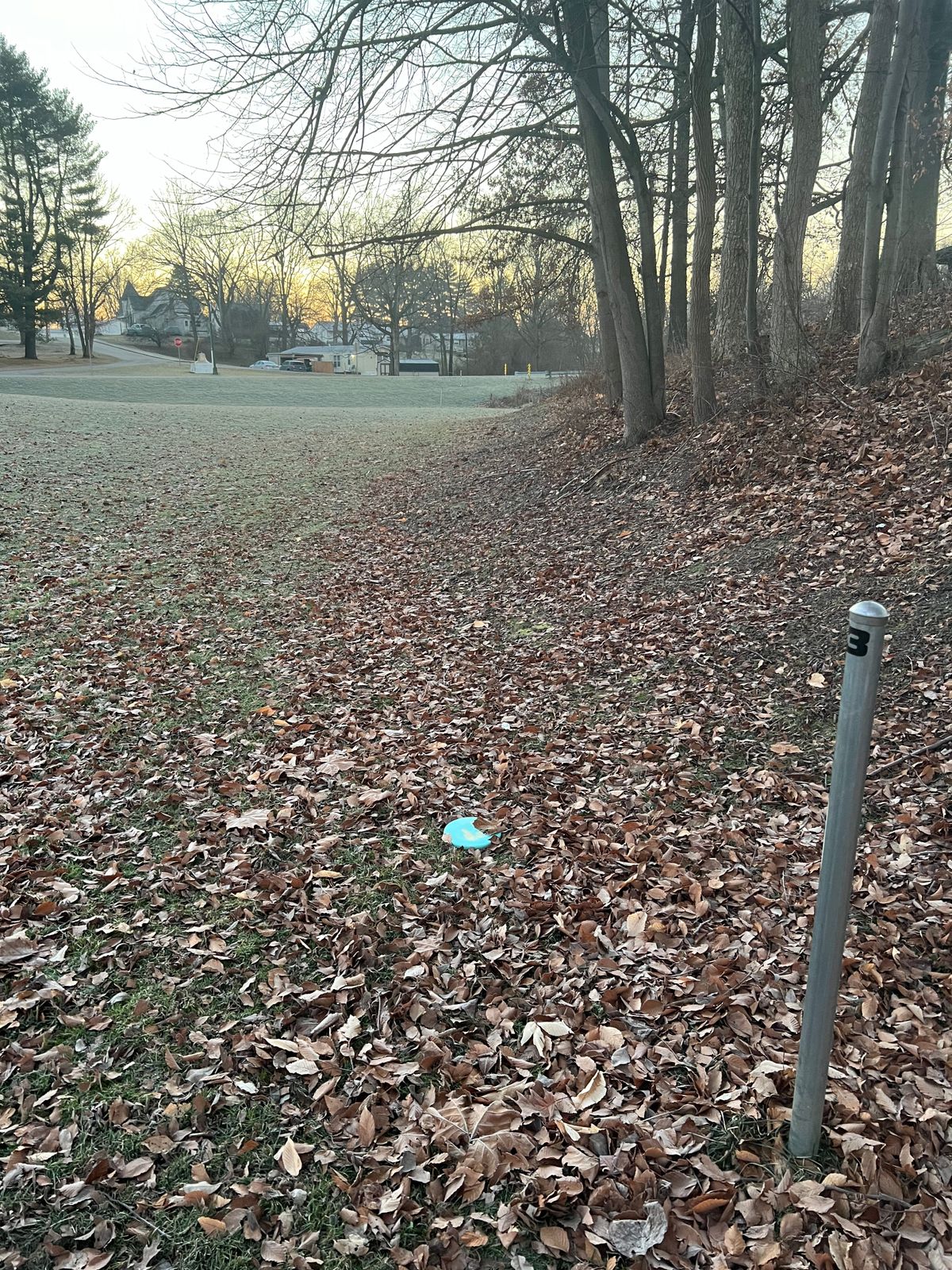 #3 Tee