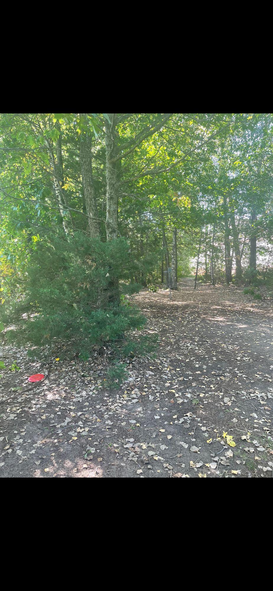 Hole 2 basket