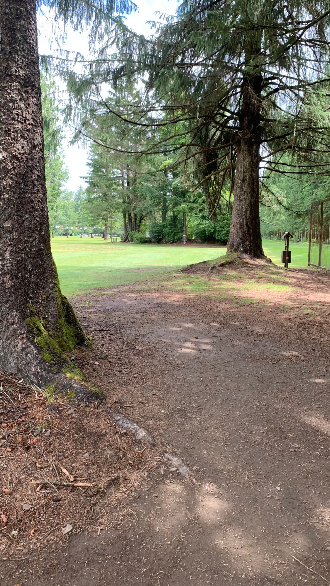 Hole 3