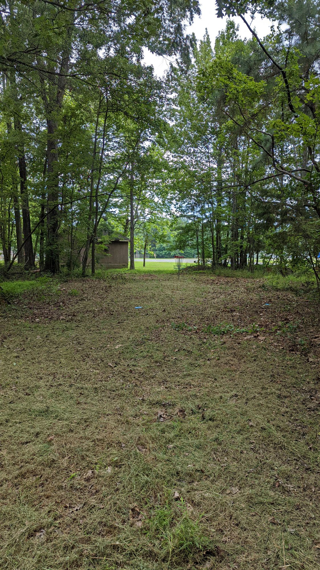 Hole 3 approach/putt