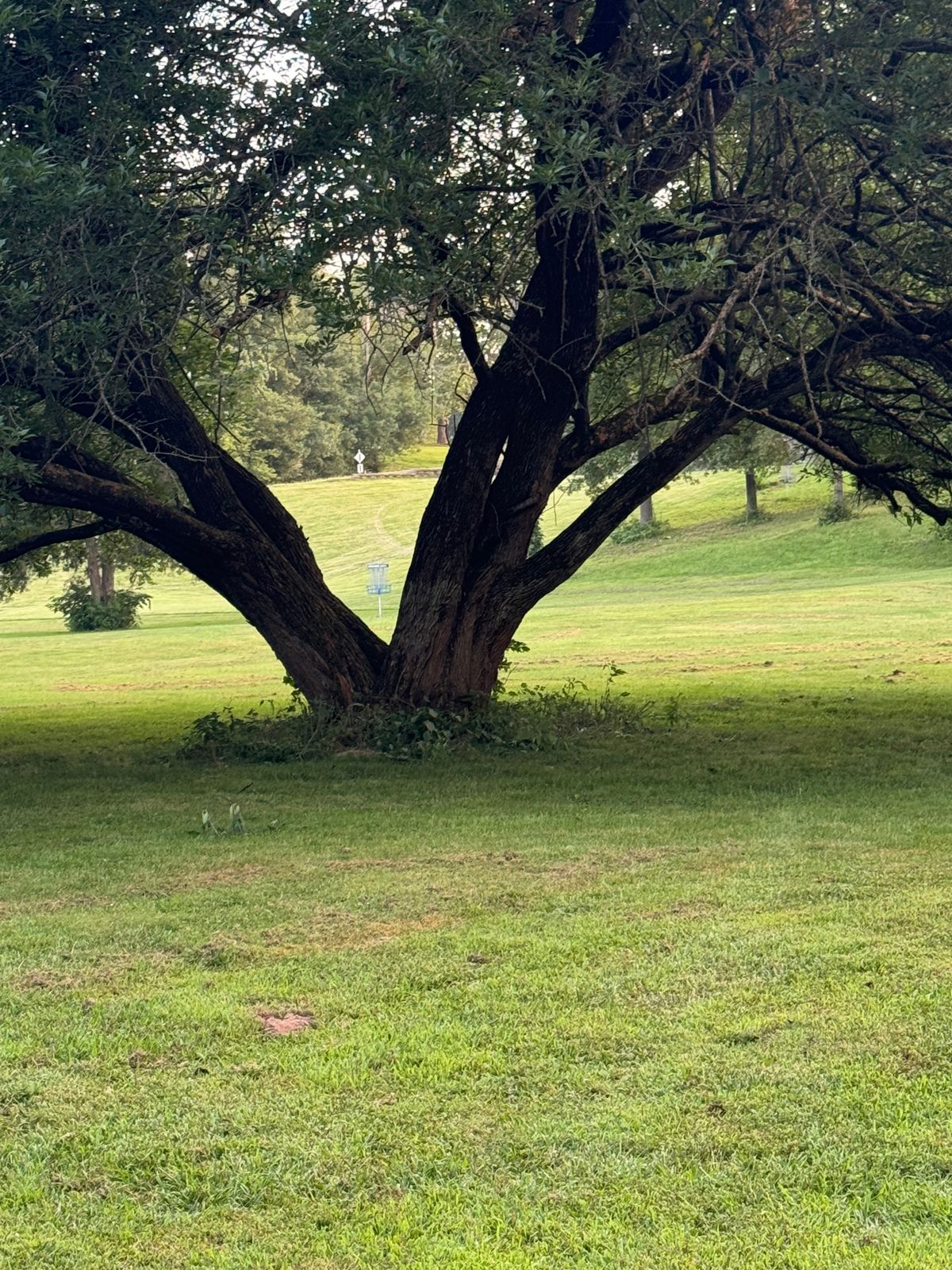 Hole 9