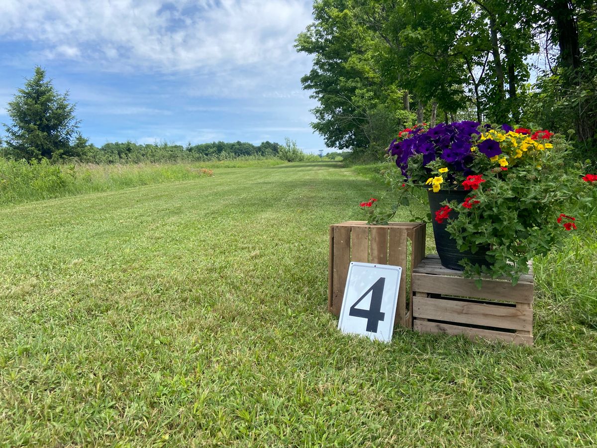 Hole 4