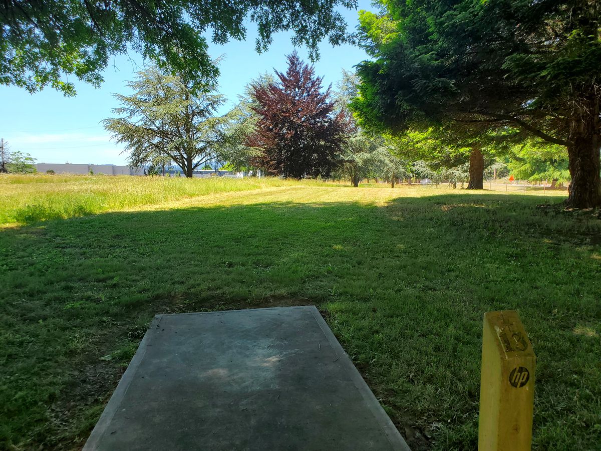 Hole 13
