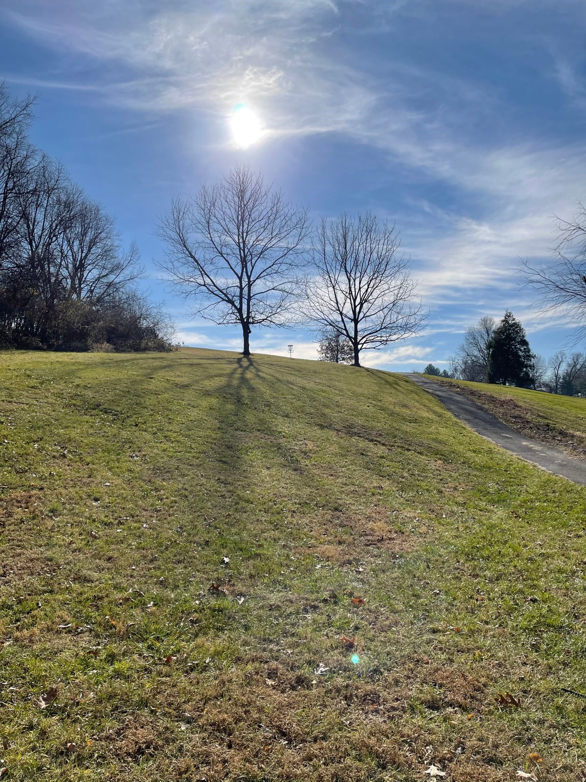 Hole 11s tee view. Basket is in short position