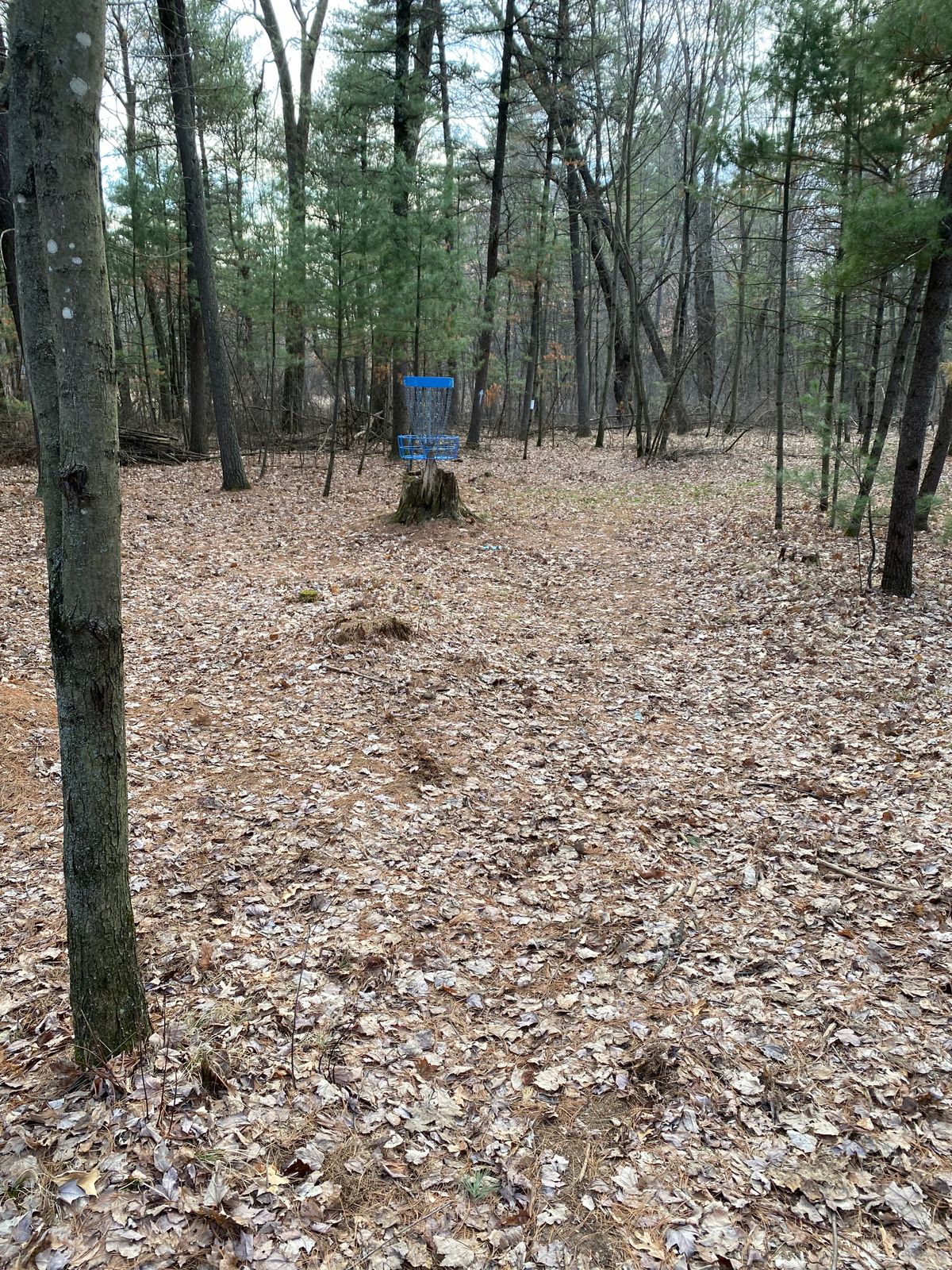 Hole 3 basket