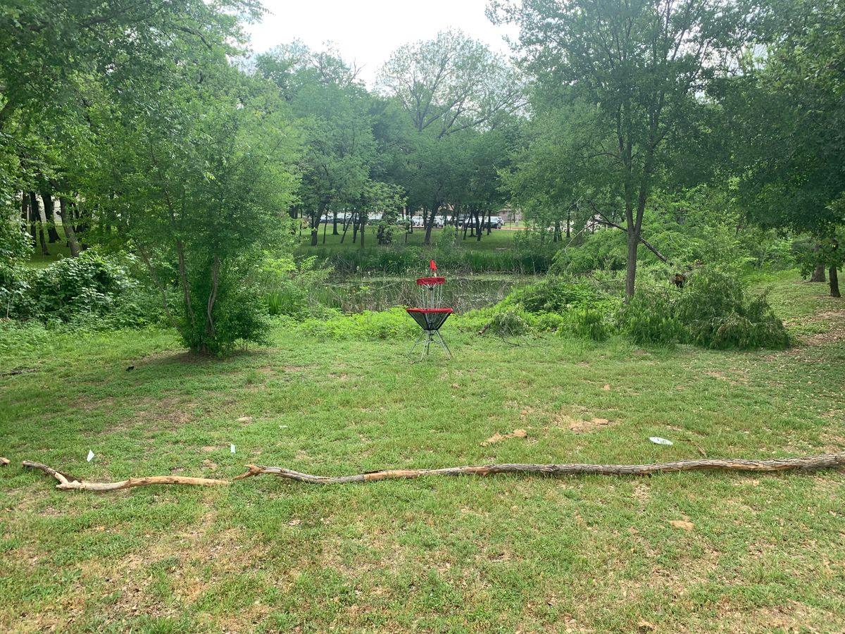 Hole 8 island green