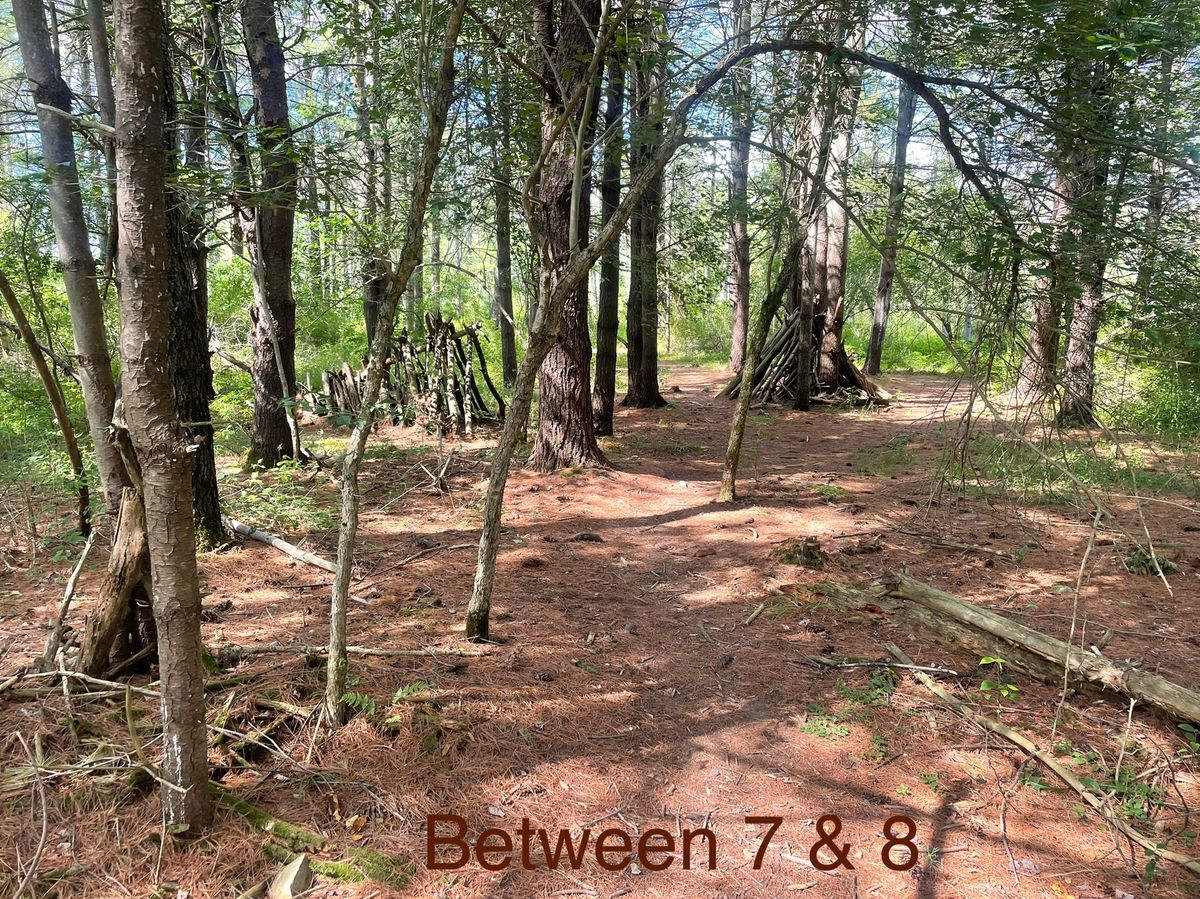 Ewok Village on walk between hole 6 and 7. 